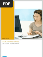 CashFlowManagement BA En
