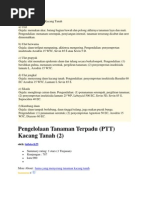 Download Hama Pada Tanaman Kacang Tanah by Ita Nur Eka SN137527796 doc pdf