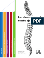 Ejercicios Columna Vertebral