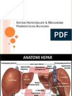 Sistem Hepatobilier 