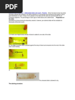 Diff-Quik Staining Protocol Guide | PDF | Staining | Microscopy