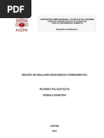 5Â°RELATÃ-RIO DE BIOQUIMICA REFERENTE A MAILLARD