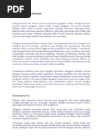 Download Disfagia by Chandraa Hidayaatt SN137555594 doc pdf
