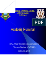 Acidosis Ruminal 