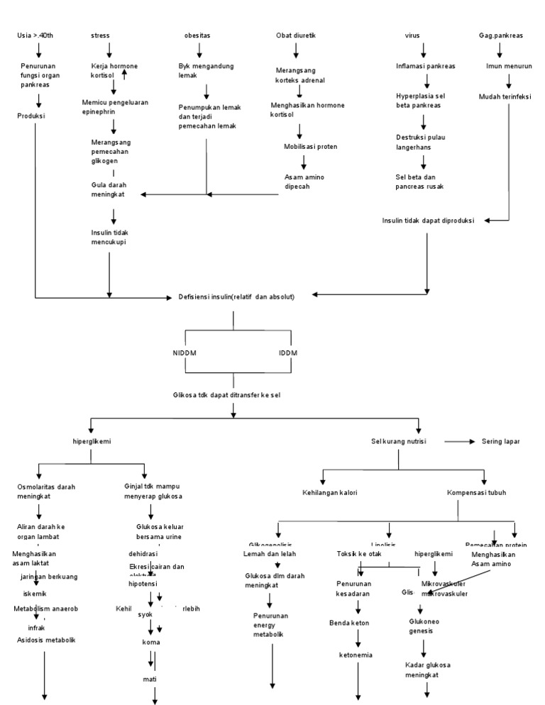 Pathway DM kita pelajari
