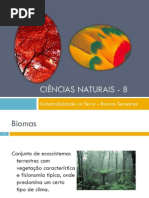 Power Point Nr. 2 - Biomas