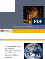 Powerpoint nr. 1 - Fluxo de energia e ciclo da matéria - Introdução