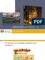 Powerpoint nr. 1 - Fluxo de energia e ciclo da matéria - teias alimentares