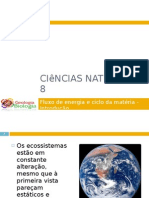 Powerpoint nr. 1 - Fluxo de energia e ciclo da matéria - Introdução