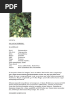 Download DeskripsiTumbuhanbygitaharyonoSN137569189 doc pdf