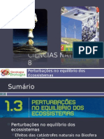 Powerpoint nr. 2 - Efeitos da Catástrofes Naturais (Intervenção humana)