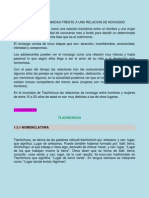 Deciciones Tomadas Frente A Una Relacion de Noviazgo