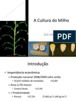 A Cultura Do Milho