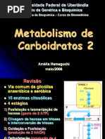 Aula 02 - Metabolismo de Carboidratos