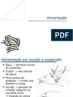 Alimentação