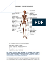 Contusiones Medicina Legal