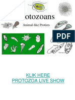 Aver1_Protozoa3Sept2012