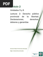 Lectura 2-Declaraciones, Derechos, Deberes y Garantias