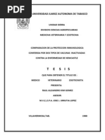 Download Tesiscomparacion de la proteccion inmunologica conferida por dos vacunas inactivadas contra la enfermedad de newcastle by chichicapa SN13763914 doc pdf
