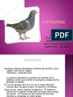 Las Palomas