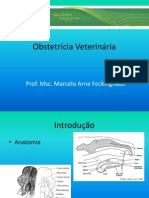 Obstetrícia Veterinária Aula 1