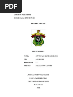 Download Laporan Profil Tanahdocx by Putryaser Patiallo SN137656303 doc pdf