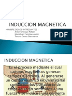 INDUCCION MAGNETICA