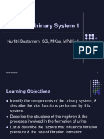 Genitourinary System 1