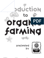 CCOF Organic Activity and Coloring Book