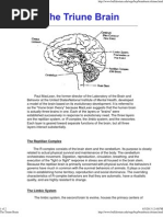 The Triune Brain