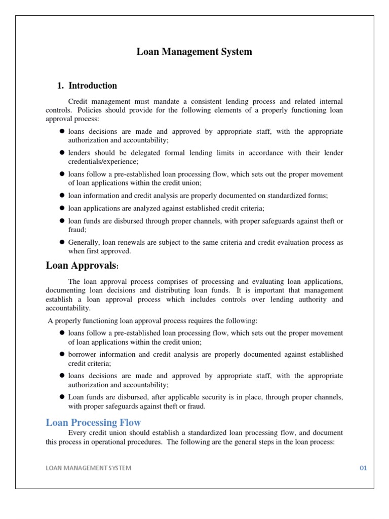 Loan Management System Pdf Credit Finance Internal Rate Of Return