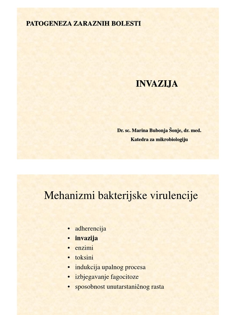Invazija_2013
