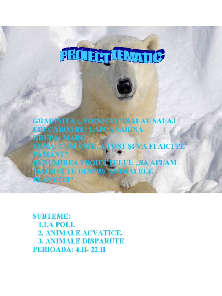76 Proiect | PDF