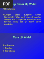 Prinsip Dasar Uji Widal