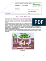 Ciclo Do Azoto Ficha de Trabalho