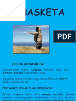 ARNASKETA