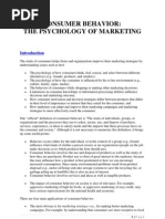 Consumer Behavior: The Psychology of Marketing