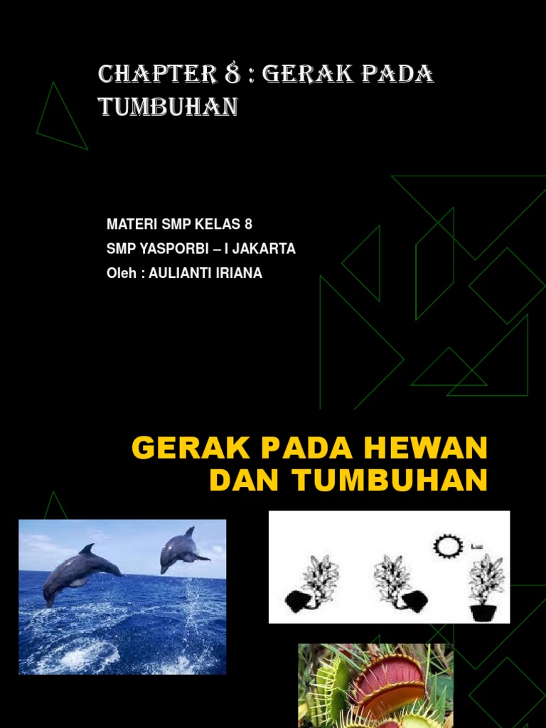 Chapter 8 Kls 8 Gerak Tumbuhan