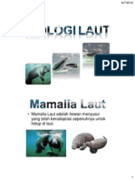 Biola Pertemuan-3 Mamalia-Laut 1