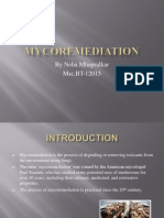 Download mycoremediationppt by Neha Mhapralkar SN137731542 doc pdf