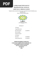 Download Laporan Hasil Pengamatan praktek Kuliah Lapangan by Hana Nakazawa SN137733974 doc pdf