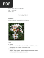 Download KAMBOJA by Retri Atika SN137737293 doc pdf