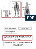 Sistem Rangka