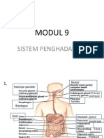 MODUL 9-Sistem Penghadaman