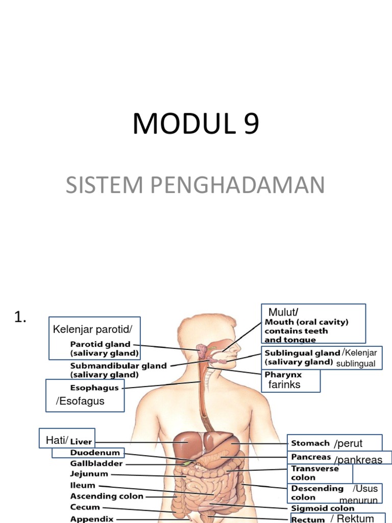 Jinsiy aloqada bolgan keksa ayollarning uy qurilishi videolari
