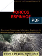 10 Porcos Espinhos