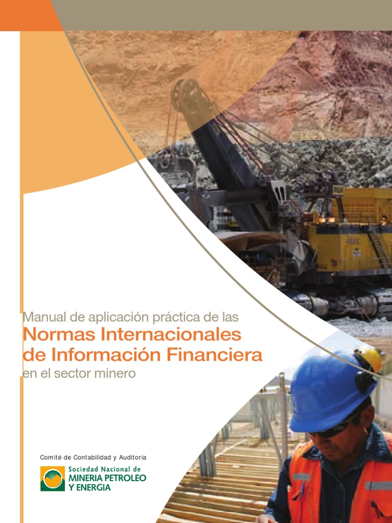 PDF Manual NIIF | PDF | normas internacionales de INFORMACION ...