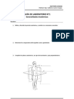 Guía de Laboratorio N°1 - Generalidades Anatómicas - UISEK