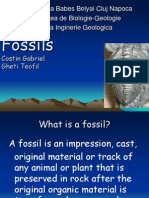 Fossils, Gabriel Costin, Gheti Teofil