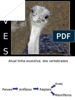 Aves e Mamíferos